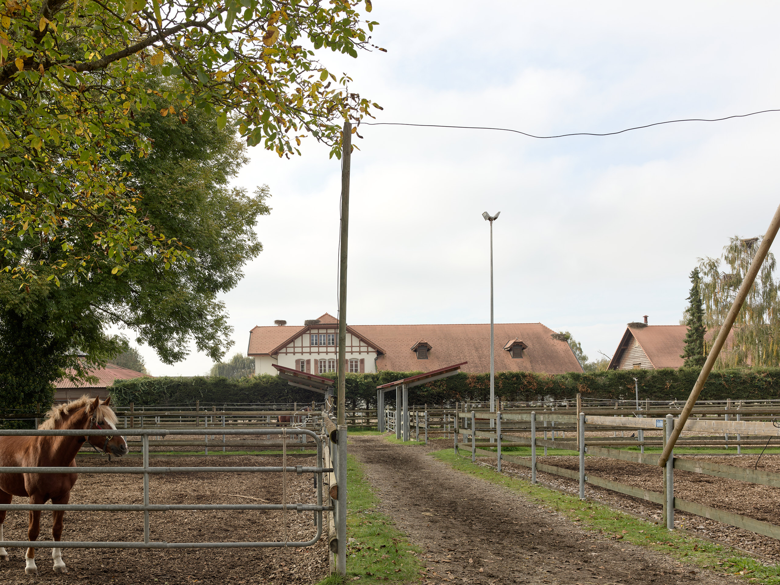 Haras National